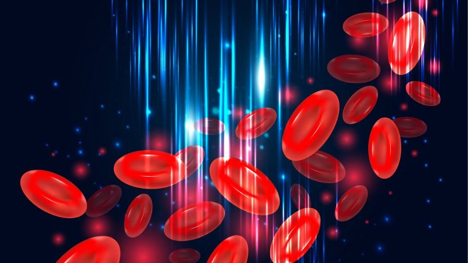 Blood cells